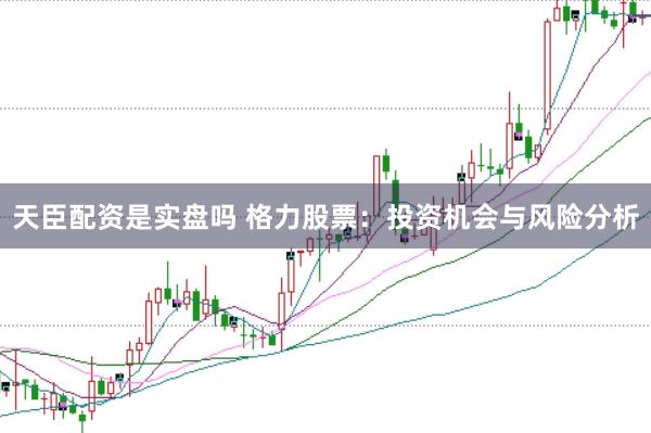 天臣配资是实盘吗 格力股票:投资机会与风险分析